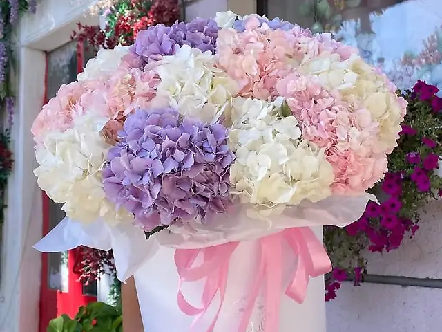 Бокс з різнокольоровими гортензіями