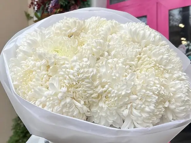 19 хризантем