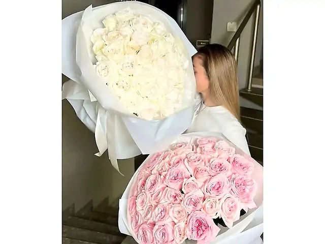 51 троянда white/pink ohara