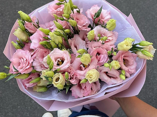 Букет комплімент Еустома