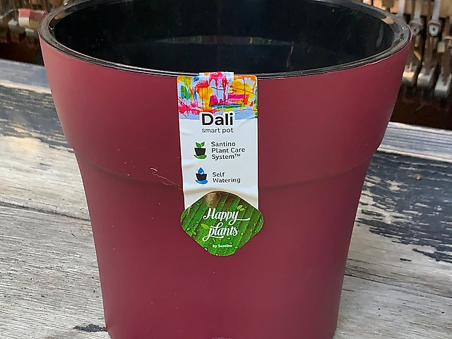 Горщик вишневий