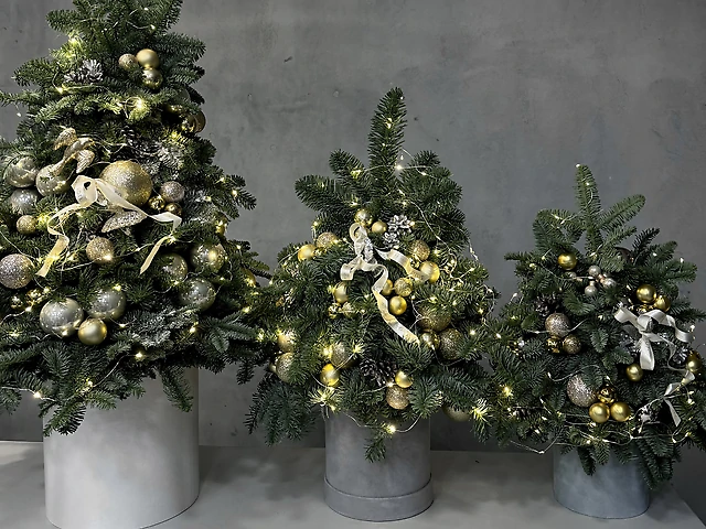 Гірлянда 10 м