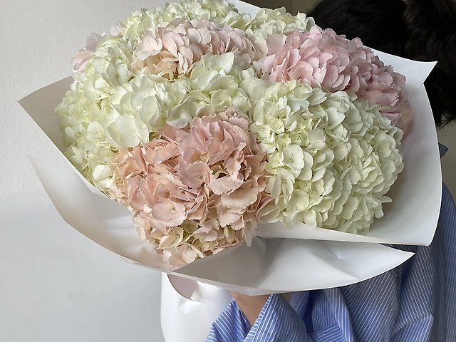Монобукет з гортензій