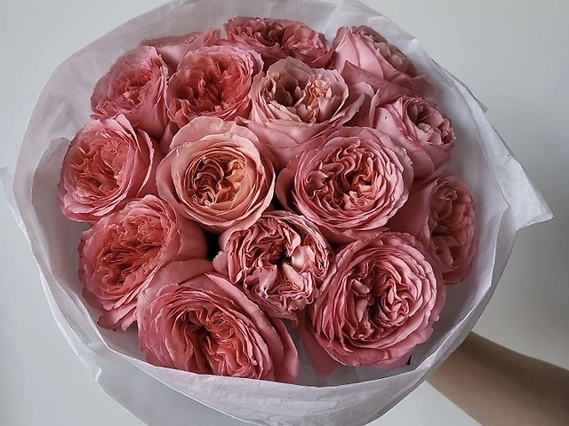 Монобукет еквадорських троянд