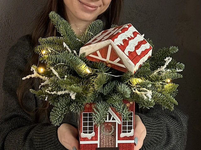 Різдвяний будинок з ялинкою