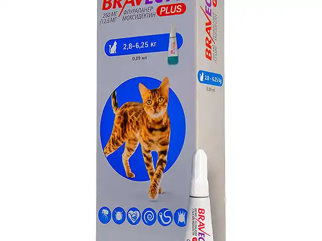 Bravecto Plus (Бравекто Плюс) Краплі від бліх, кліщів і глистів для котів вагою від 2,8 кг до 6,25 кг (захист на 12 тижнів)