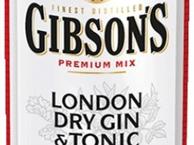 Gibson's London Dry Gin & Tonic
