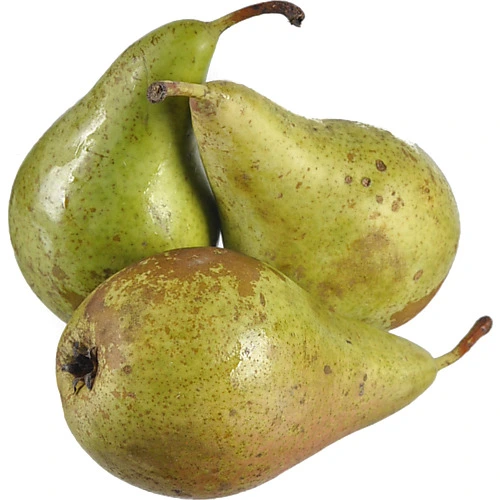 Груша Конференція