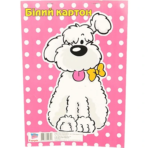 Набір білого картону Фолдер А4 9л