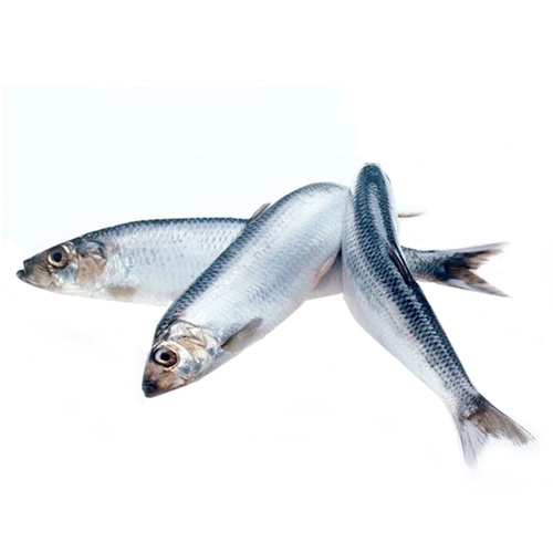 Кілька Волков м.с