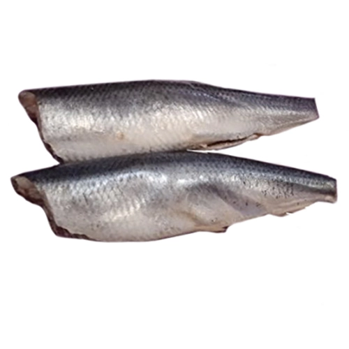 Оселедець Волков м.с.