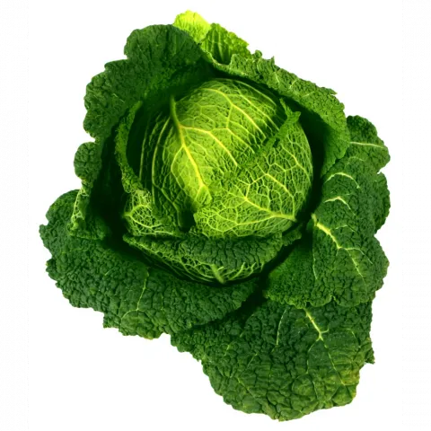 Капуста Савойська (Україна)