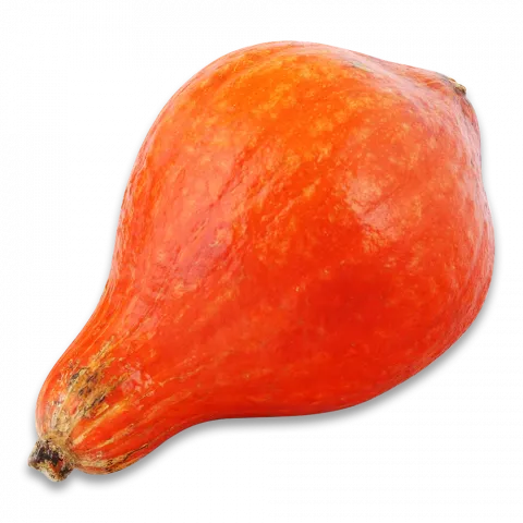 Гарбуз Хоккайдо вага