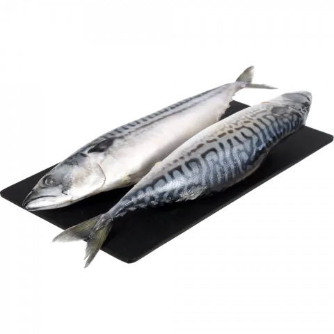 Риба Скумбрія с/м 300-500 IWP 15 глаз. ваг.