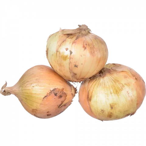 Цибуля Порей (Наш імпорт) вага